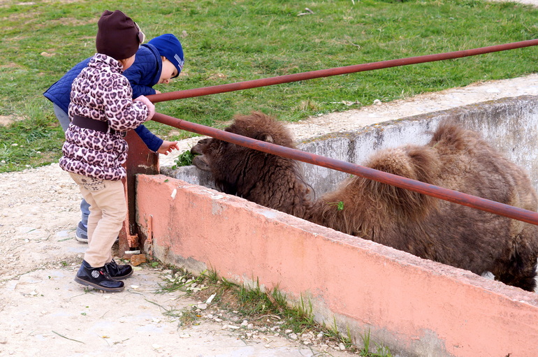 Солянка из майских прогулок