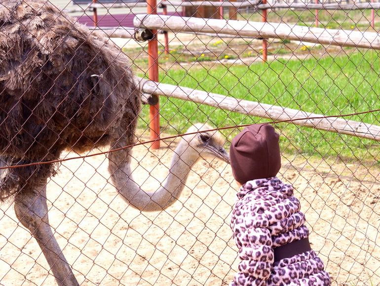Солянка из майских прогулок