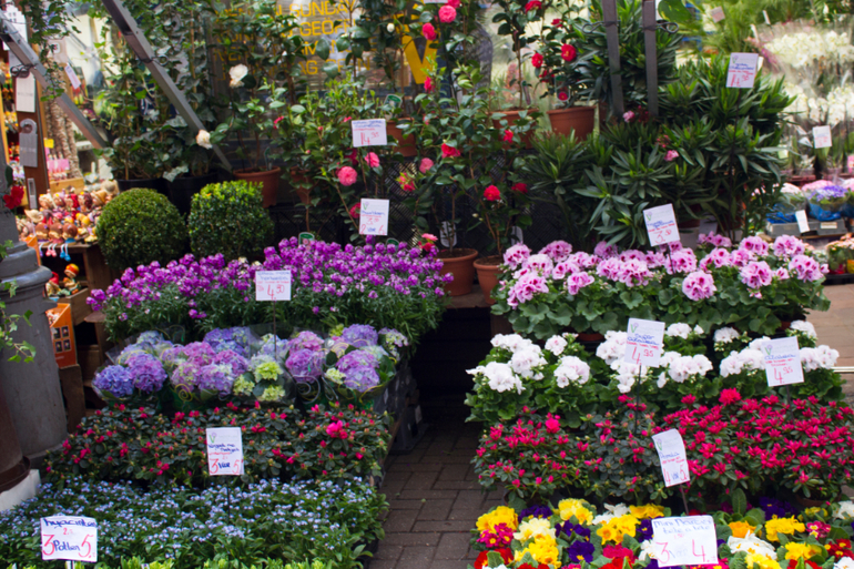 Путешествие по Европе. Часть 1 - Амстердам