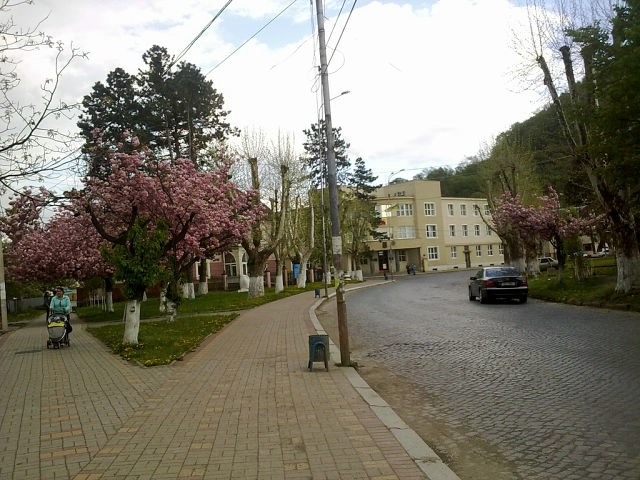 Мой город