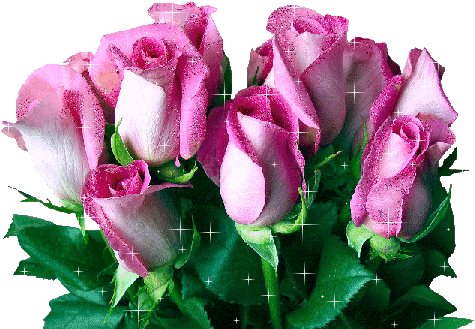 bb0cc684ad64546c034fafa918be4447.gif