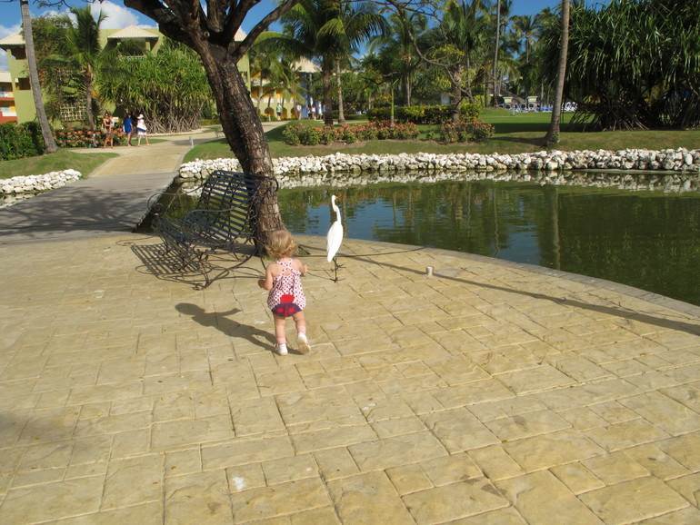 Пунта-Кана с дочкой в 1,4 года, декабрь.