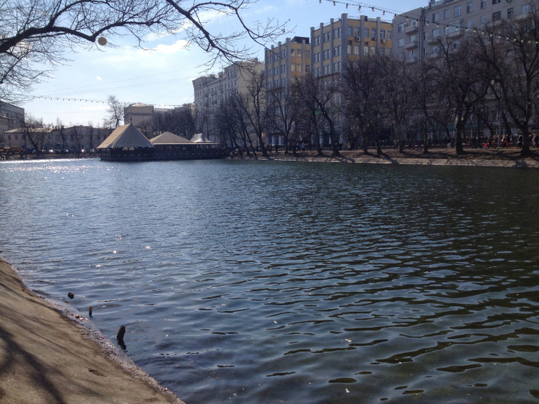 Парад трамваев и Океанариум