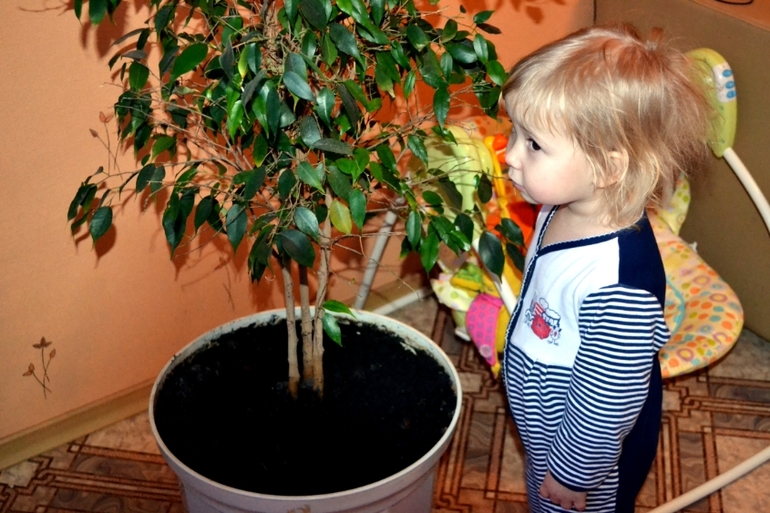 Один день из жизни .Детки-погодки.