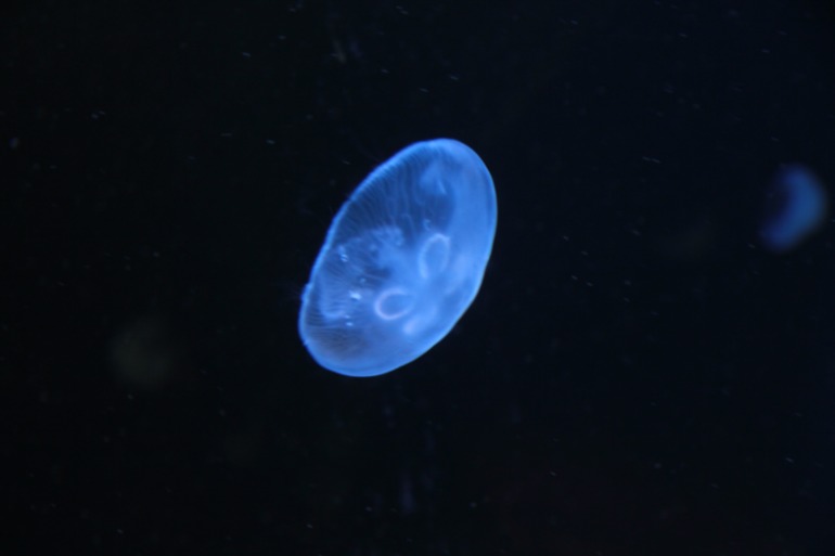 Наше путешествие в частичку Греции. остров Крит.