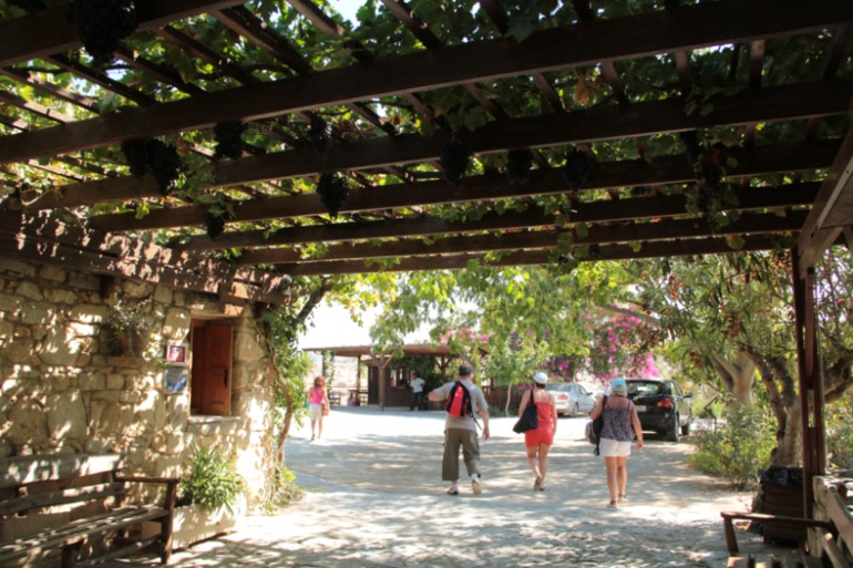 Наше путешествие в частичку Греции. остров Крит.