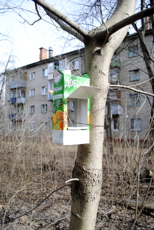 Тема #4. наша кормушка)