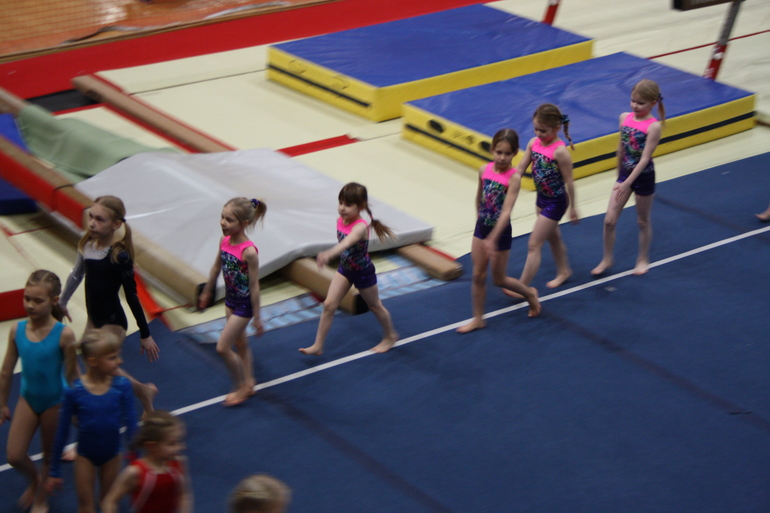 спортивная гимнастика