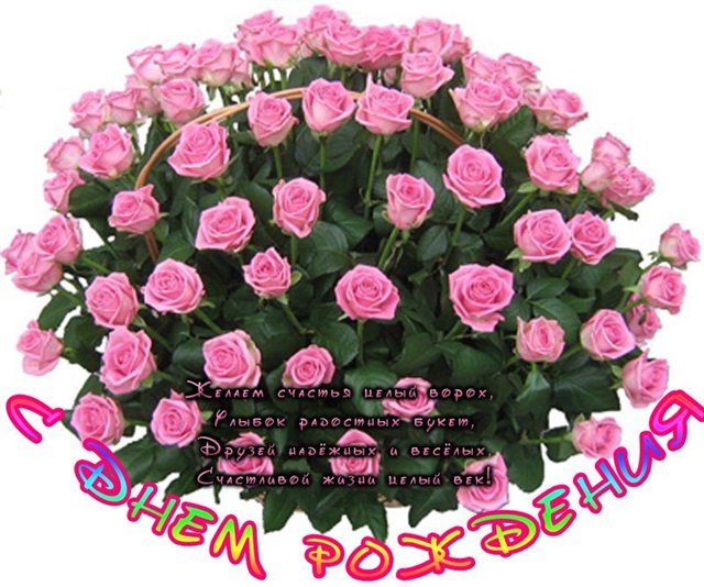 С днём рождения !!!!!!!!!