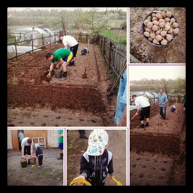 Дачный сезон!!!