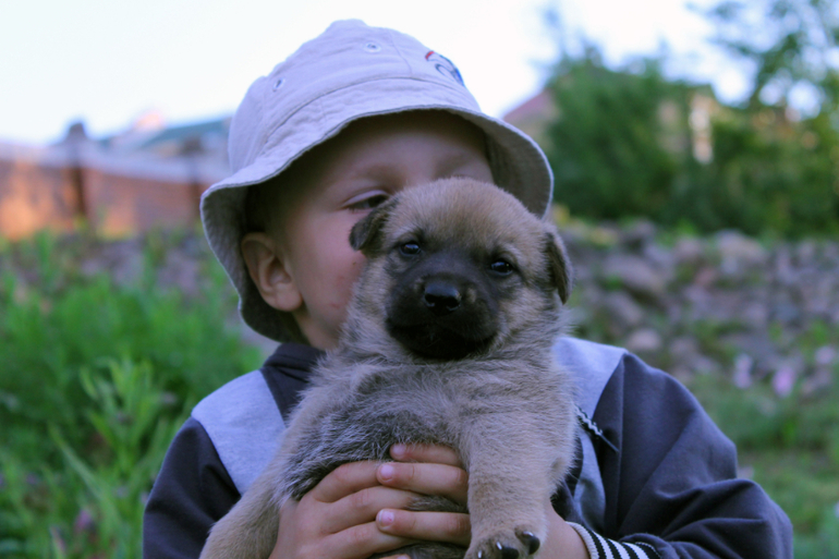 Щенячий "фотосет")))