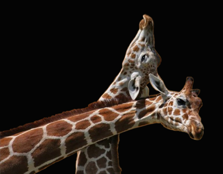 Контрольное задание  №2.Вырезаем объект