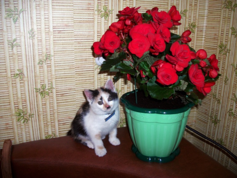 78fe8deb80d5860edb8072bb5491d560.jpg