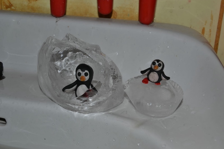 ТН Пингвины