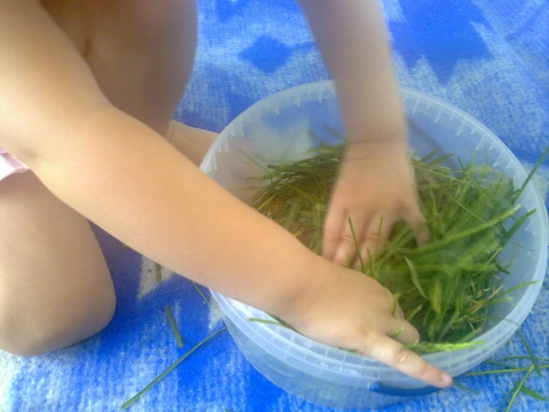 ФМ Домашние животные День 1