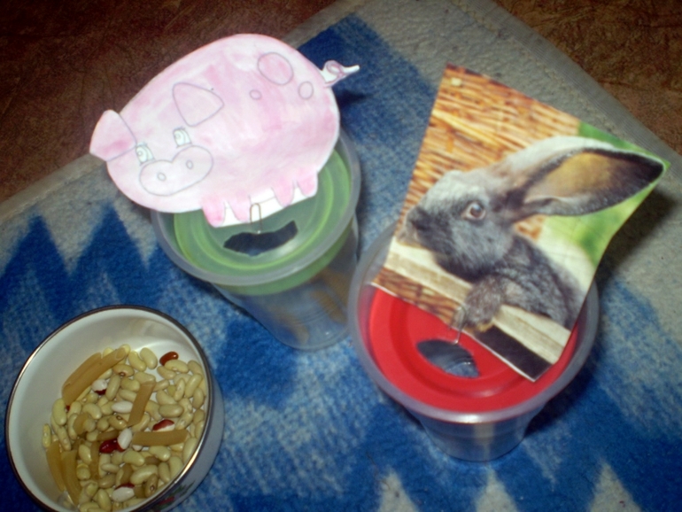 ФМ Домашние животные День 1