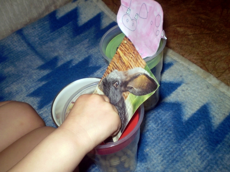 ФМ Домашние животные День 1