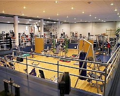 В гости к Санта Клаусу! Финляндия. Романиеми.