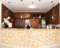 Париж на НГ и Рождество! Тур жд + автобус на 10 дней!