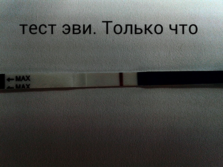 ну все...началось!