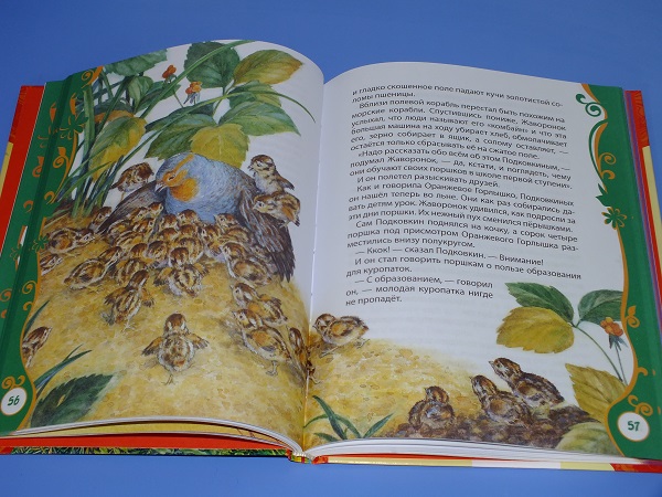 Очередные покупки