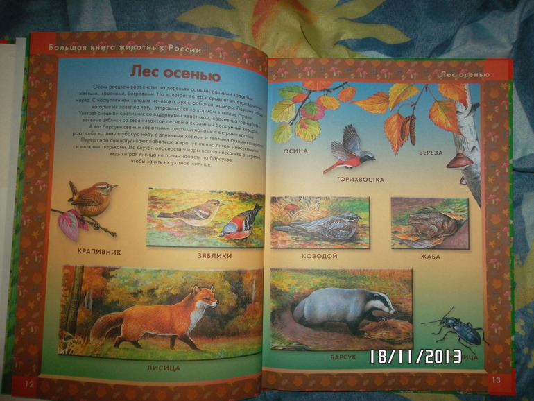 ТН