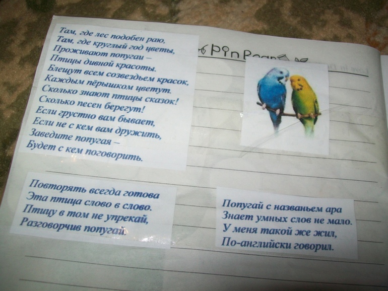 ФМ ТН Африка День 4