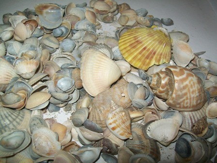 ТН Море, день №1