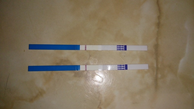 тесты от 15 марта