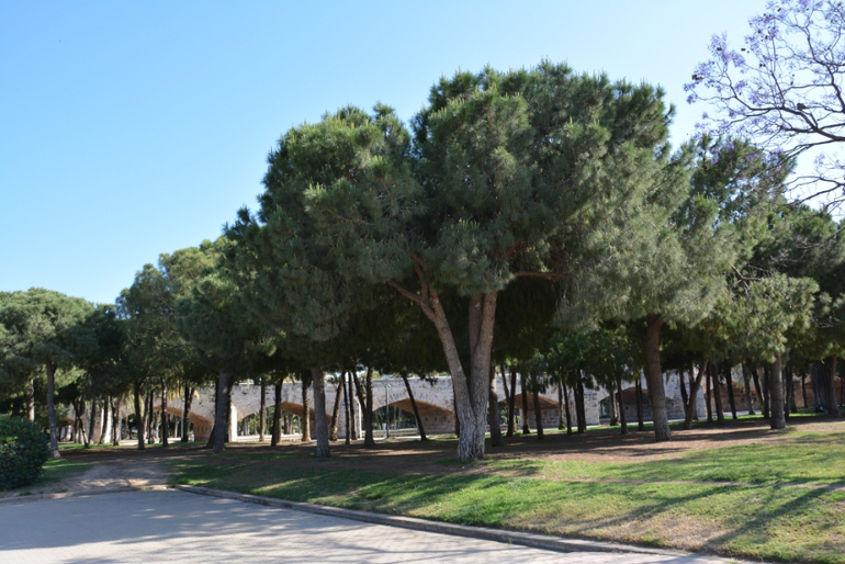 Вернулись из Валенсии