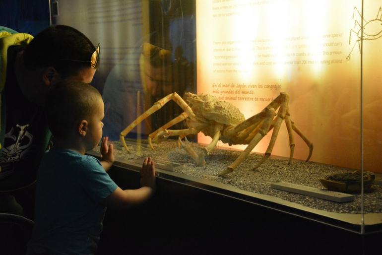 Вернулись из Валенсии