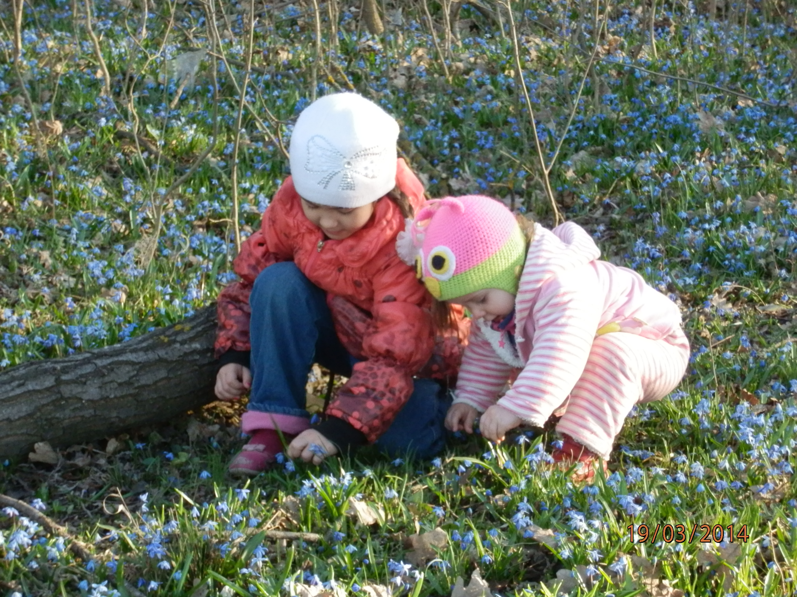 Весна-красна