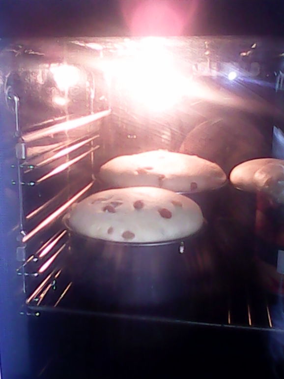 первый раз в духовке пеку