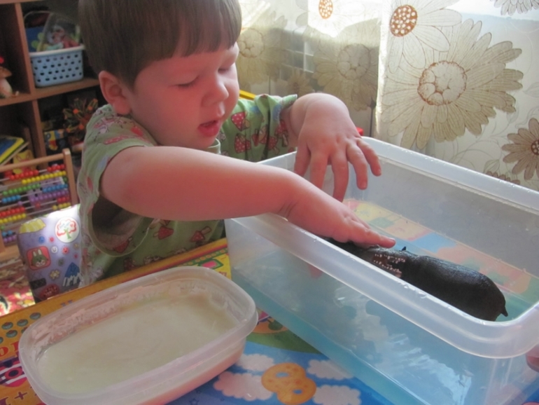 Природные зоны Африки.(Немного сенсорных коробочек)