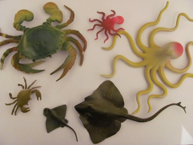 ТН Морские обитатели.