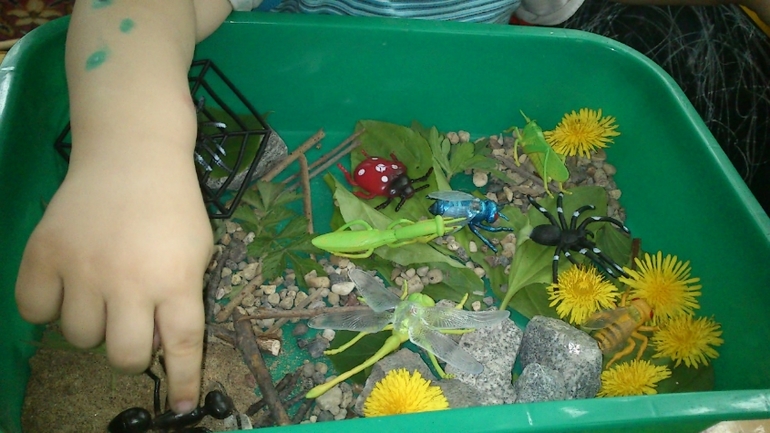 Еще немного про насекомых. Игры и творчество.