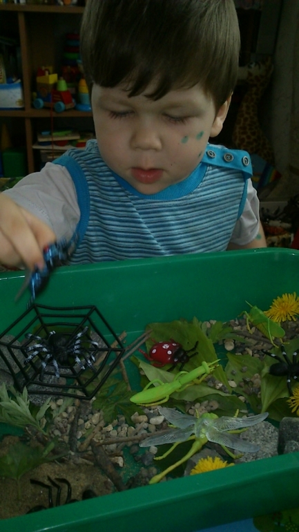 Еще немного про насекомых. Игры и творчество.