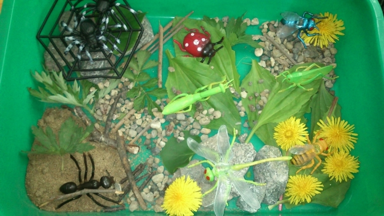 Еще немного про насекомых. Игры и творчество.