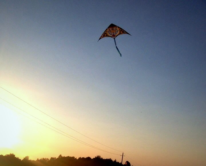 Он к нам обязательно вернется....