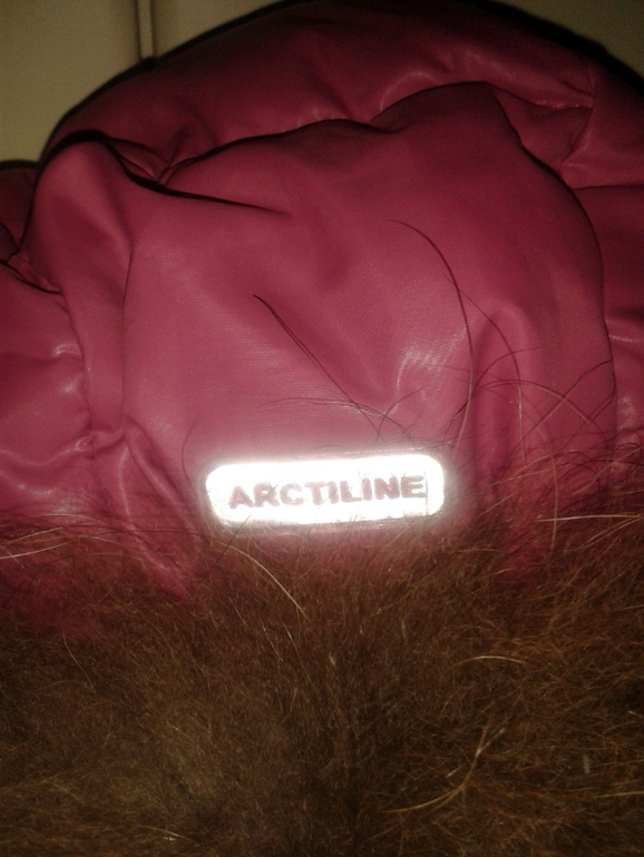 Пуховый комбинезон-конверт Arctiline 74рр в идеале -2000.