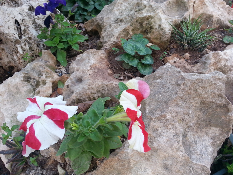 нужна помощь!