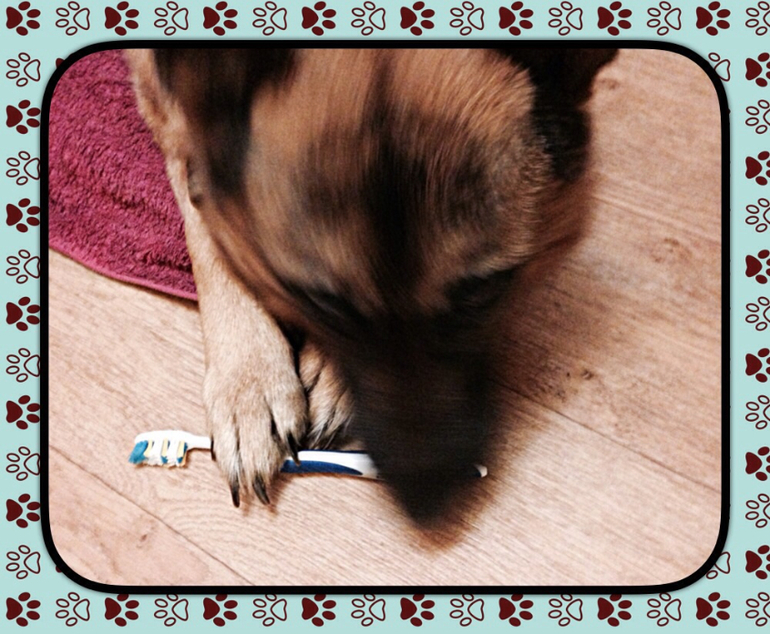 Изобретательная помощница.