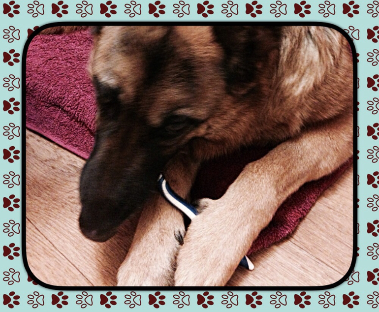 Изобретательная помощница.