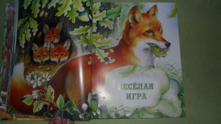 Наше небольшое прибавление!