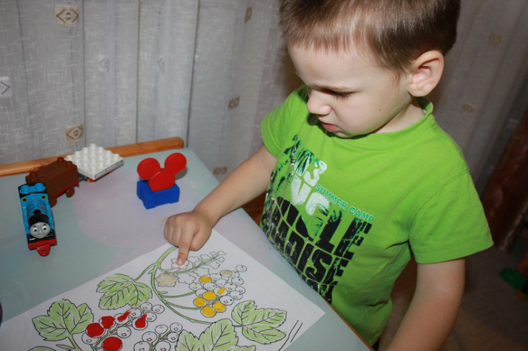 ТН "Ягоды" - отчет. День 2 - крыжовник.