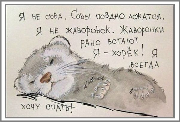 5321d995905ddcdc3fb5af6d92cde917.jpg