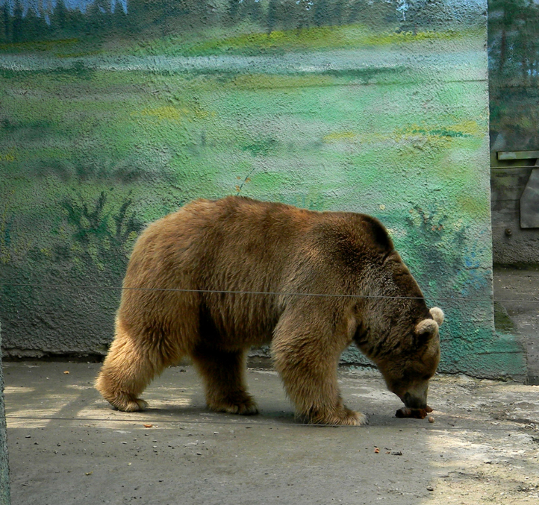 РОСТОВ