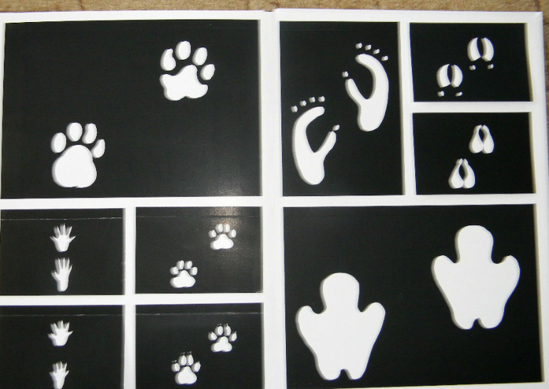 ЖИНЕВОТЫ -мой отзыв о книге...