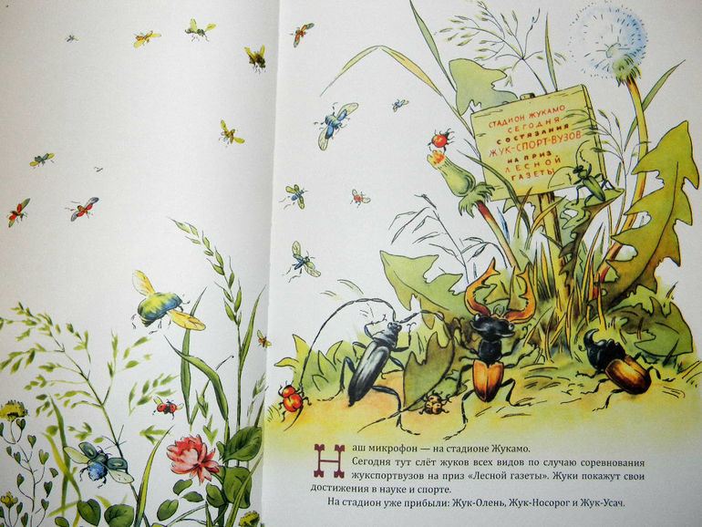 "Репортаж со стадиона Жукамо"