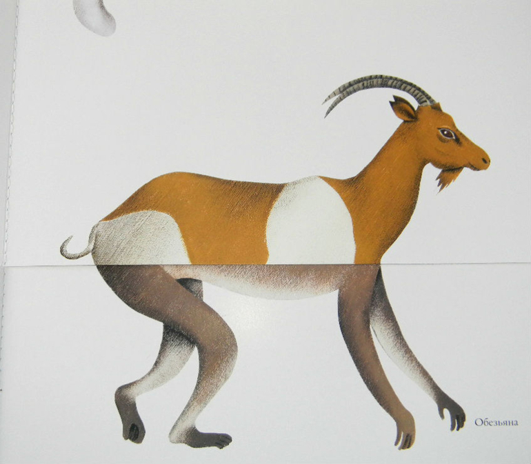 ЖИНЕВОТЫ -мой отзыв о книге...